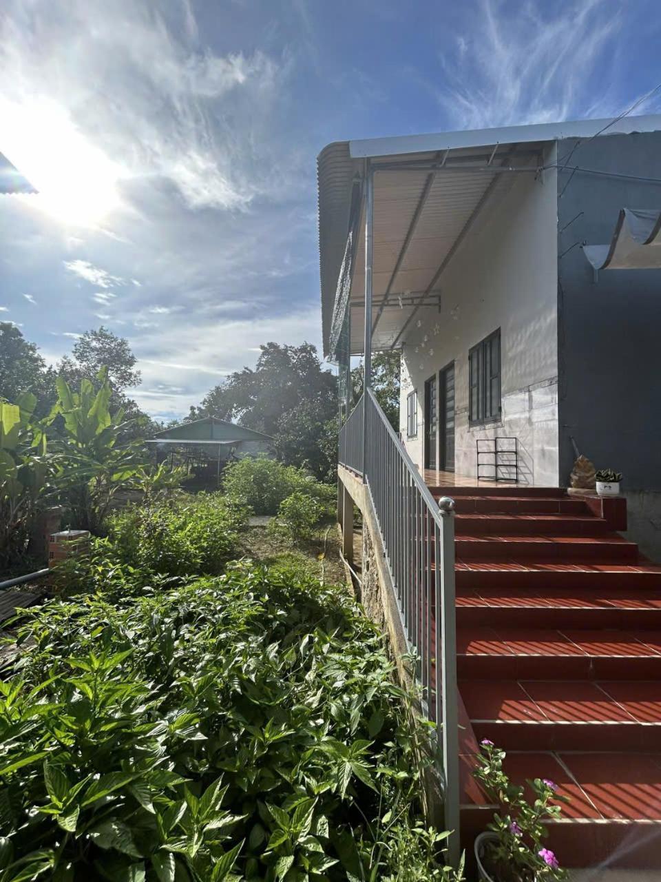 Duc Phat Homestay Cát Tiên Eksteriør billede